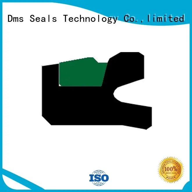 pneumatic piston seals ptfe piston DMS Seal Manufacturer Brand piston seals 1