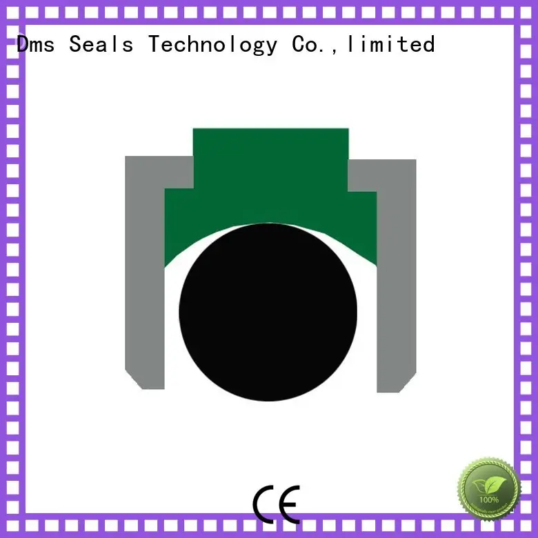 seal Custom hydraulic nbrfkm piston seals DMS Seal Manufacturer ptfe 1