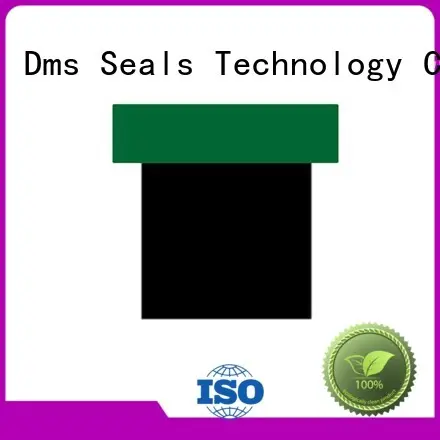 pneumatic piston seals ptfe DMS Seal Manufacturer Brand piston seals 1