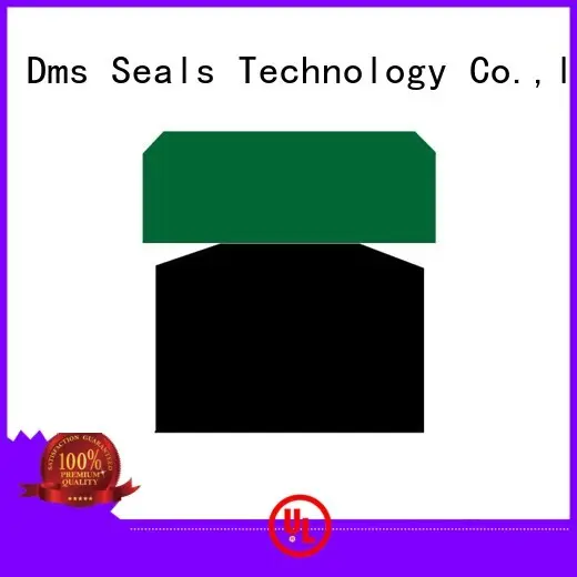 Hot piston seals piston DMS Seal Manufacturer Brand 1
