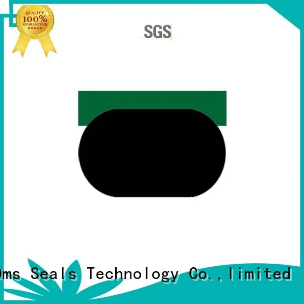Quality DMS Seal Manufacturer Brand pneumatic piston seals seal piston 1