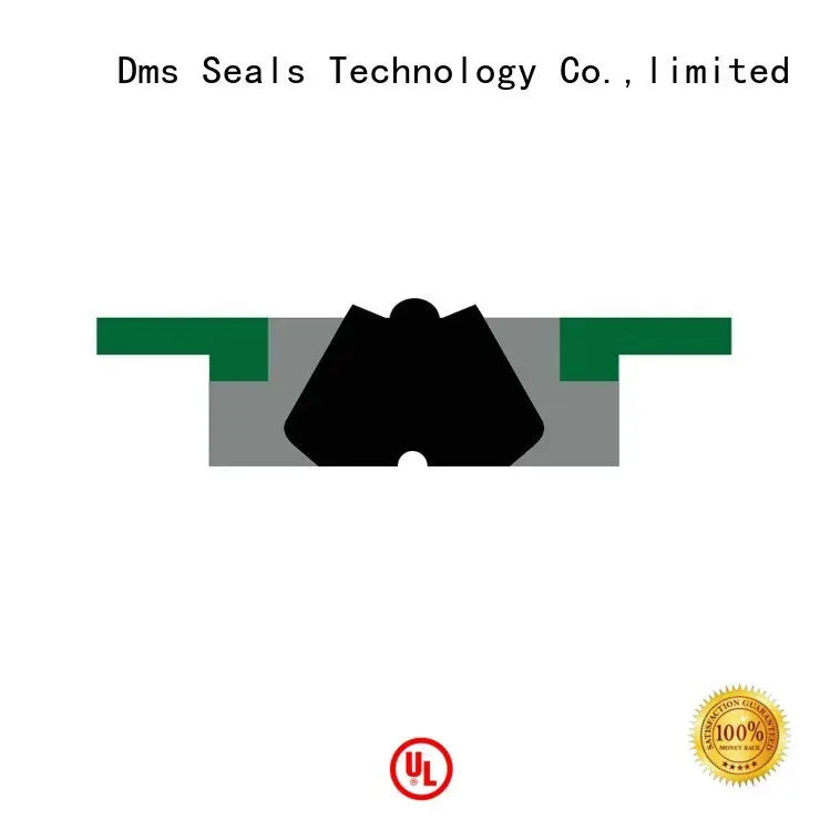 DMS Seal Manufacturer Brand piston seal oring ptfe piston seals 1