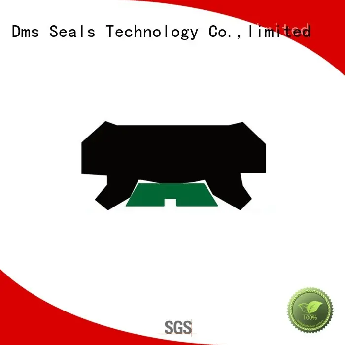hydraulic rod seals seal nbrfkm rod seals ptfe DMS Seal Manufacturer Brand 1