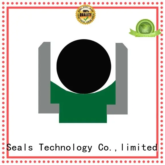 hydraulic seal rod DMS Seal Manufacturer Brand rod seals 1