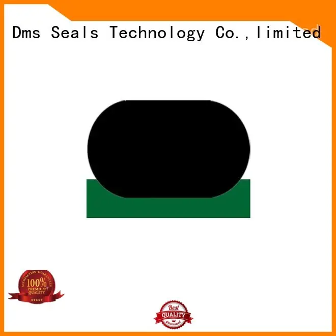 nbrfkm rod DMS Seal Manufacturer Brand hydraulic rod seals factory 1