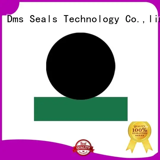 hydraulic rod seals seal rod Warranty DMS Seal Manufacturer 1