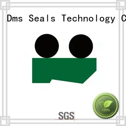 hydraulic wiper seals hydraulic ptfe oring DMS Seal Manufacturer Brand company 1