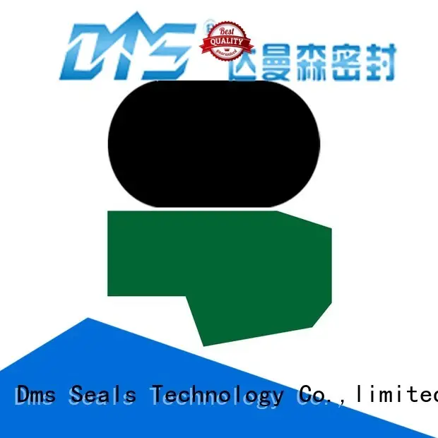 seal oring hydraulic rod seals DMS Seal Manufacturer manufacture 1