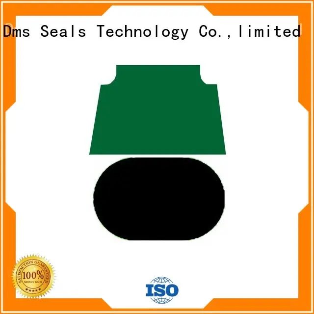 DMS Seal Manufacturer Brand nbrfkm pneumatic piston seals seal supplier 1