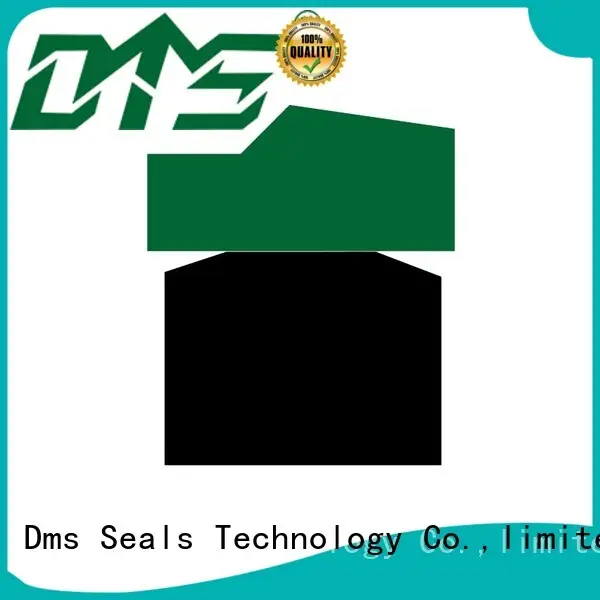 DMS Seal Manufacturer Brand hydraulic ptfe piston seals manufacture 1