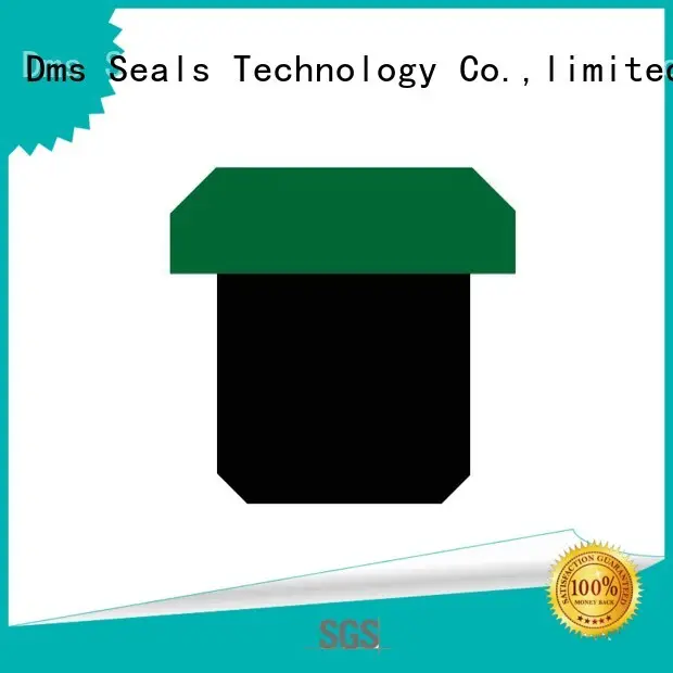 DMS Seal Manufacturer Brand hydraulic piston piston seals nbrfkm factory 1