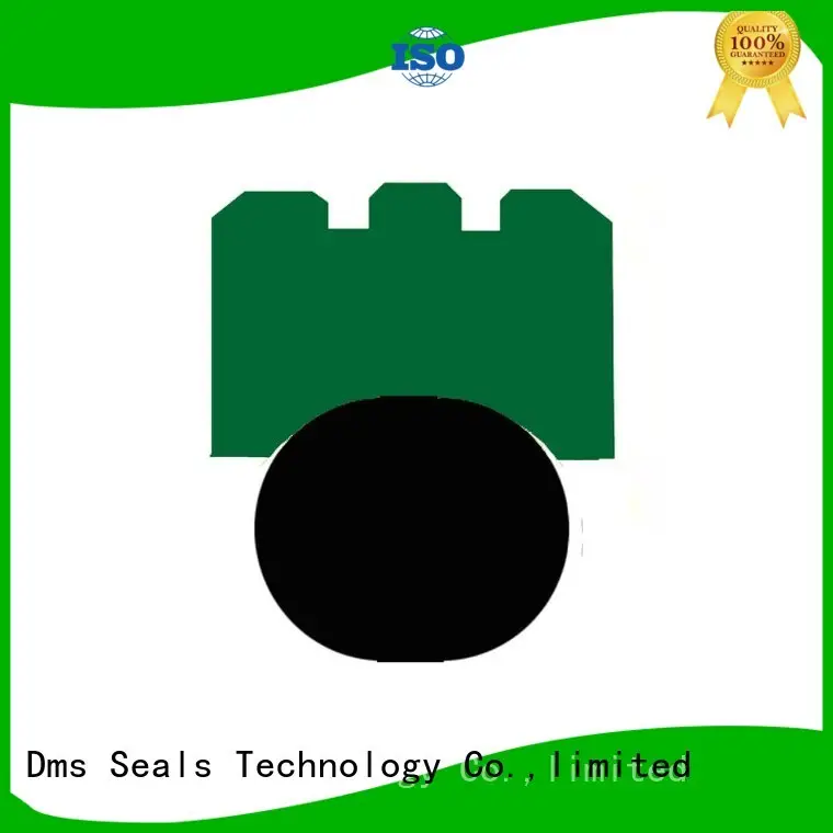 rotary shaft seals hydraulic seal ptfe DMS Seal Manufacturer Brand company 1