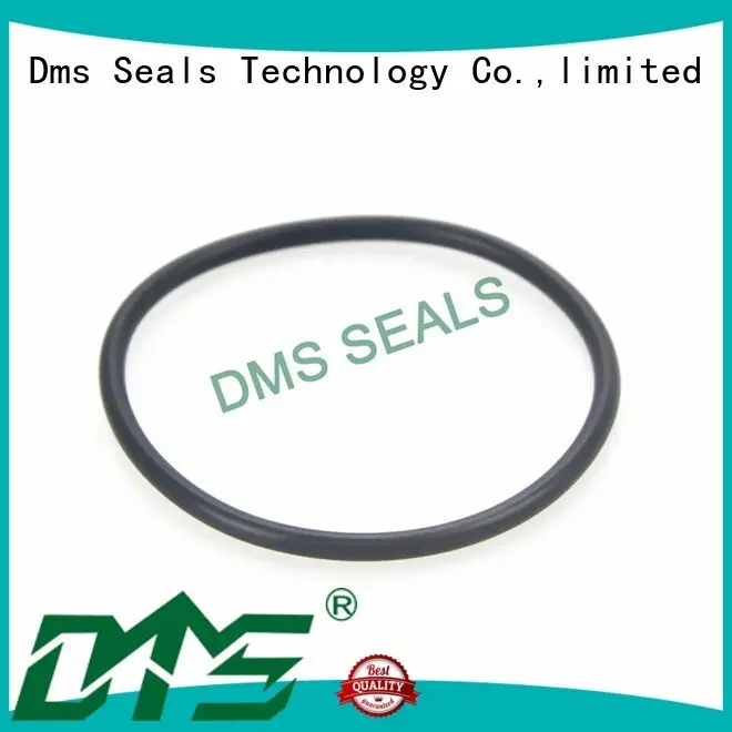 Wholesale ptfe o-ring seal DMS Seal Manufacturer Brand 1
