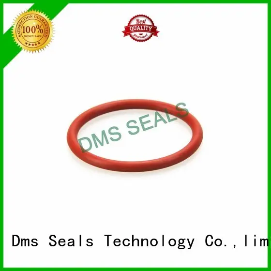 seal o-ring seal ptfe DMS Seal Manufacturer company 1