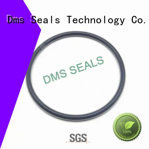 oil seal ring oring DMS Seal Manufacturer Brand o-ring seal 1