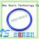 Hot oil seal ring ptfe DMS Seal Manufacturer Brand 1