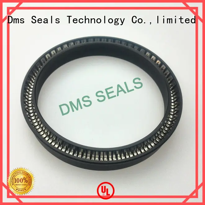 DMS Seal Manufacturer Brand hydraulic seal custom spring energized seals 1