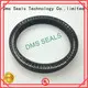 DMS Seal Manufacturer Brand hydraulic seal custom spring energized seals 1