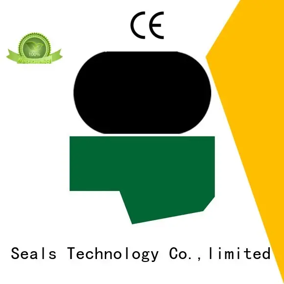 Quality DMS Seal Manufacturer Brand seal hydraulic rod seals 1