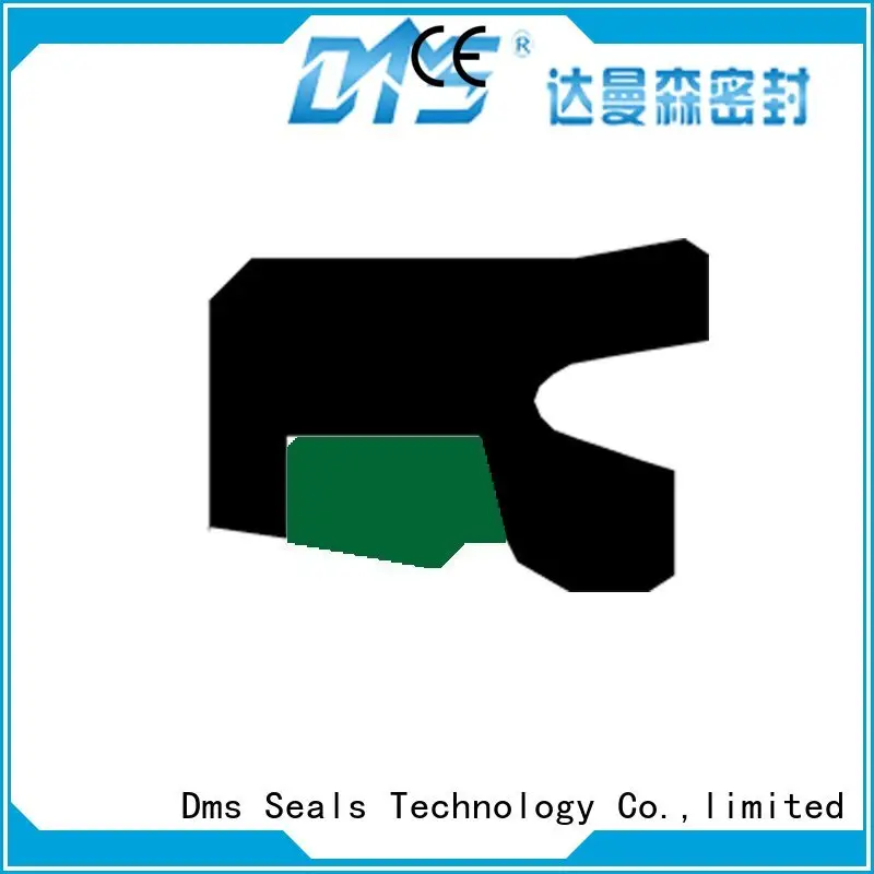ptfe Custom rod rod seals oring DMS Seal Manufacturer 1