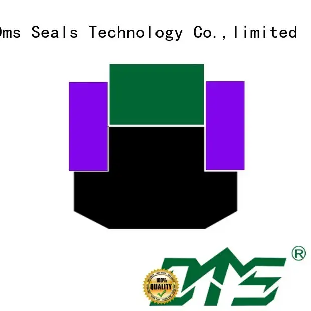 nbrfkm hydraulic OEM piston seals DMS Seal Manufacturer hydraulic
 ptfe 1