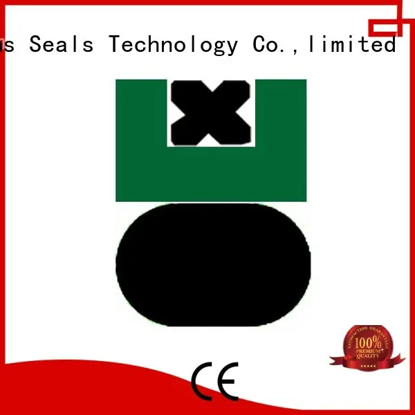 Hot piston seals hydraulic DMS Seal Manufacturer Brand 1