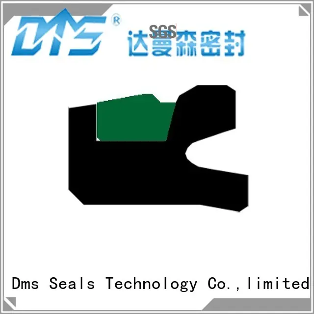 DMS Seal Manufacturer Brand hydraulic piston nbrfkm pneumatic piston seals 1