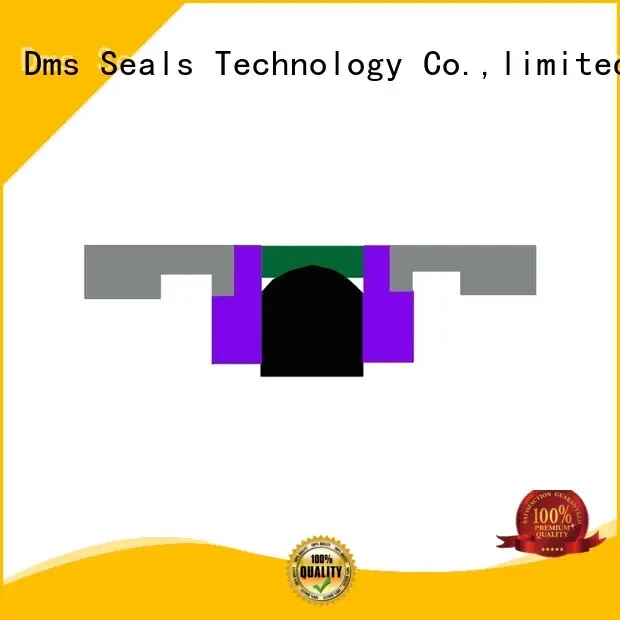 Custom piston oring piston seals DMS Seal Manufacturer seal 1