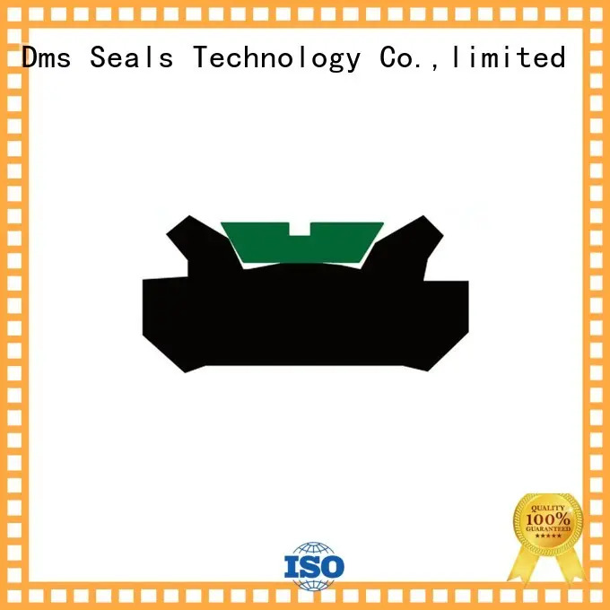 hydraulic piston ptfe piston seals nbrfkm DMS Seal Manufacturer Brand 1