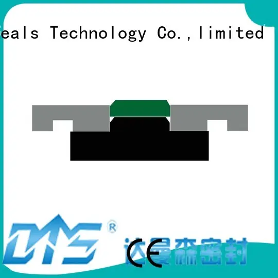 seal
 pneumatic piston seals nbrfkm DMS Seal Manufacturer Brand piston seals ptfe
 piston
 hydraulic 1