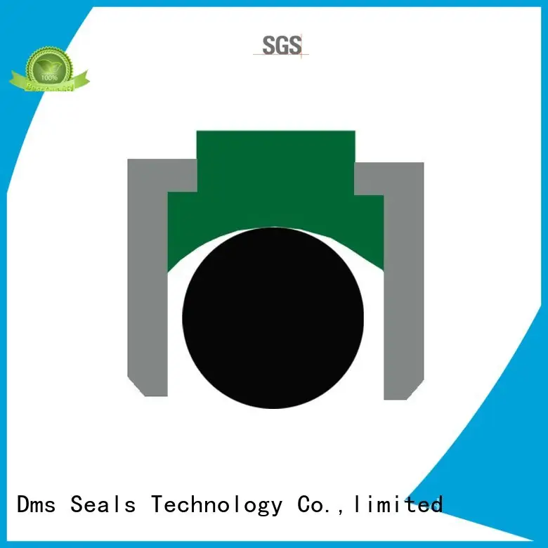 pneumatic piston seals oring seal nbrfkm DMS Seal Manufacturer Brand company 1