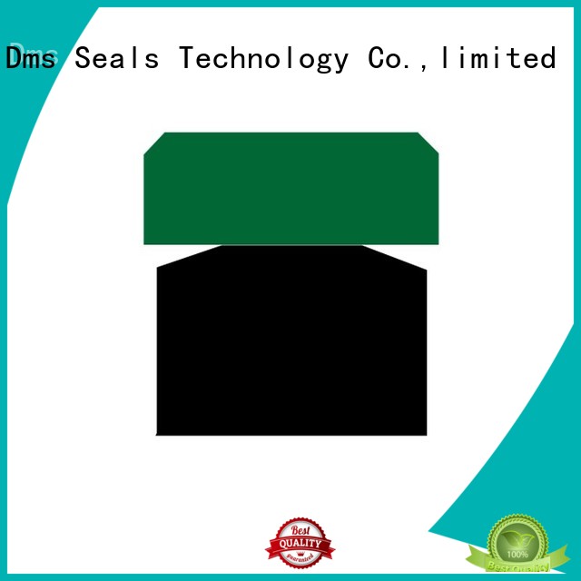 pneumatic piston seals hydraulic ptfe Bulk Buy piston DMS Seal Manufacturer 1