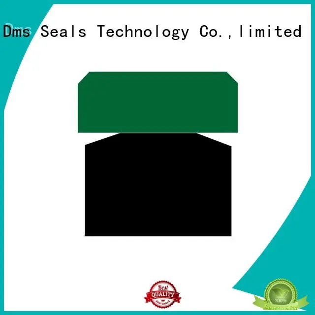 pneumatic piston seals hydraulic ptfe Bulk Buy piston DMS Seal Manufacturer 1
