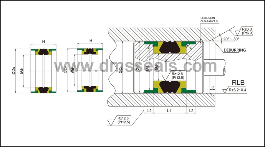 hydraulic seal pneumatic piston seals ptfe DMS Seal Manufacturer company 2