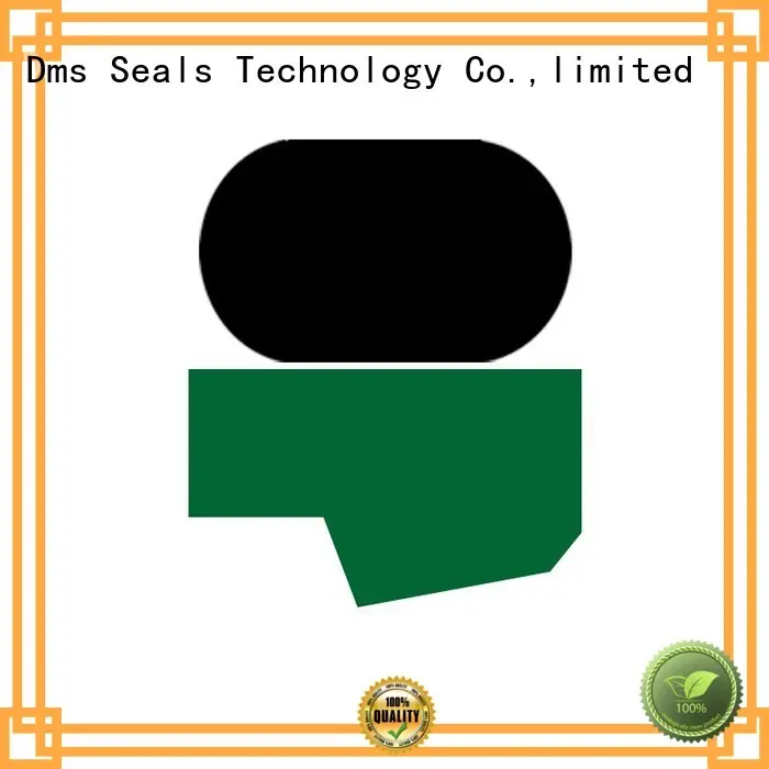 Quality DMS Seal Manufacturer Brand hydraulic rod seals 1