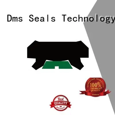 DMS Seal Manufacturer Brand rod seal ptfe hydraulic rod seals 1