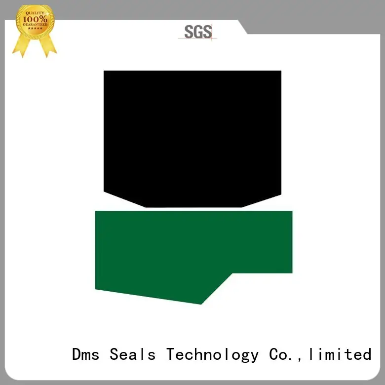 rod seal rod seals nbrfkm hydraulic DMS Seal Manufacturer company 1