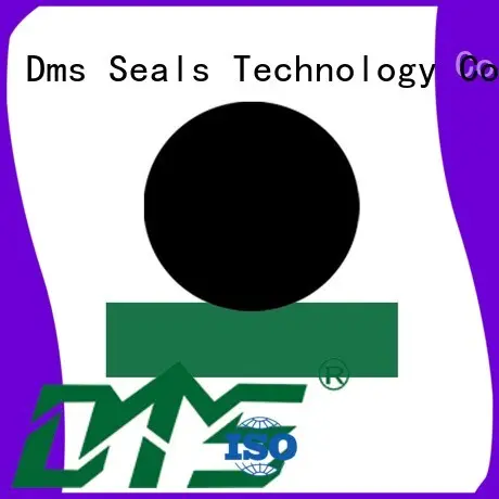 hydraulic rod seals ptfe Bulk Buy oring DMS Seal Manufacturer 1