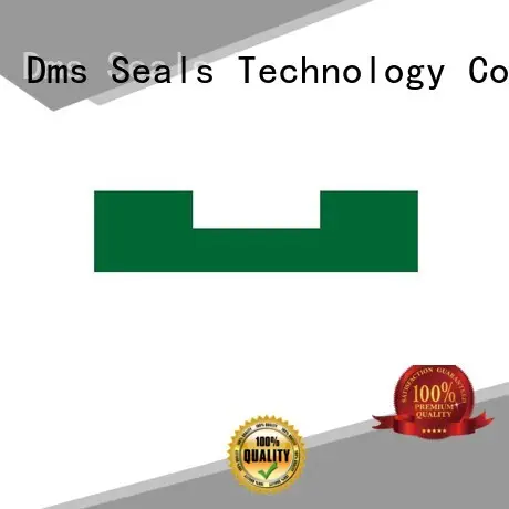DMS Seal Manufacturer Brand nbrfkm hydraulic oil seal ring oring supplier 1