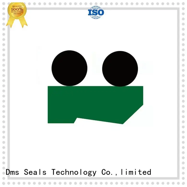 DMS Seal Manufacturer Brand seal nbrfkm scraper seals ptfepu factory 1