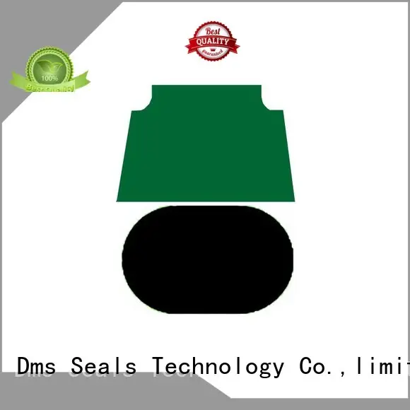 DMS Seal Manufacturer Brand nbrfkm hydraulic oring custom pneumatic piston seals 1