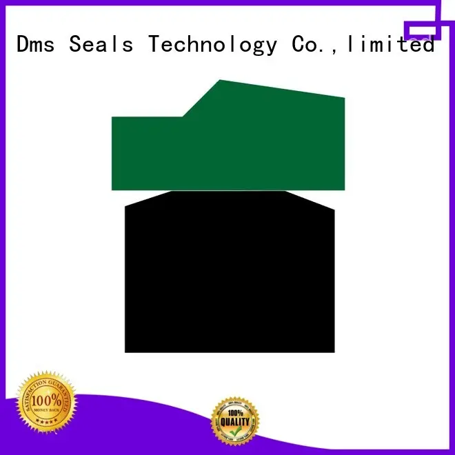 hydraulic
 ptfe
 piston
 ptfe pneumatic piston seals seal DMS Seal Manufacturer company 1