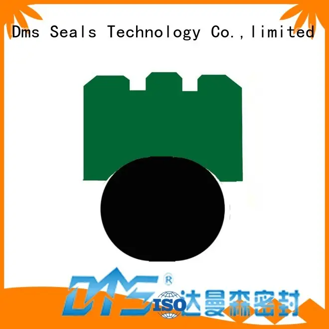 Hot seal rotary shaft seals ptfe DMS Seal Manufacturer Brand 1