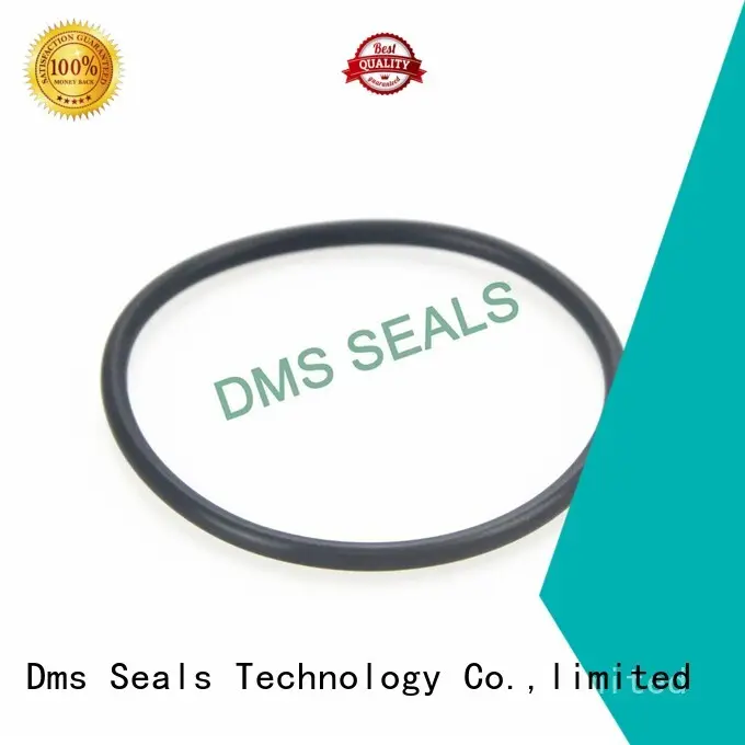 oil seal ring ptfe seal o-ring seal DMS Seal Manufacturer Brand 1