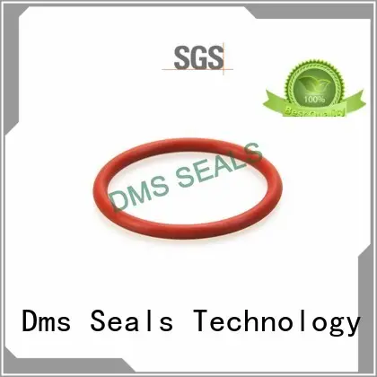oil seal ring ptfe seal oring Warranty DMS Seal Manufacturer 1