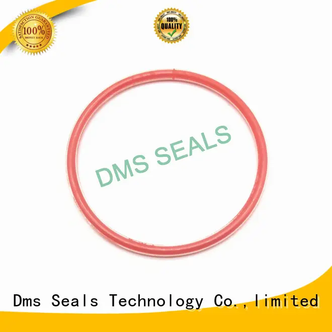 oil seal ring spring seal Warranty DMS Seal Manufacturer 1