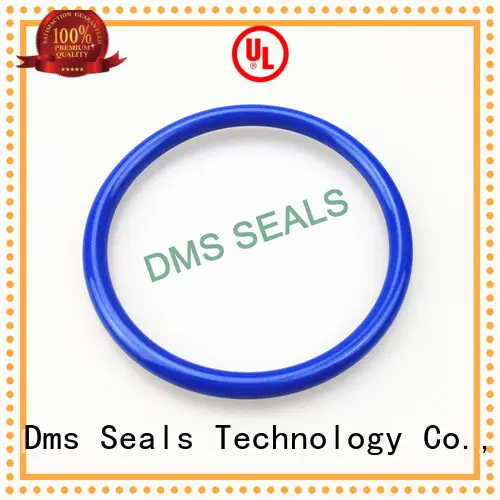 spring o-ring seal ptfe oring DMS Seal Manufacturer company 1