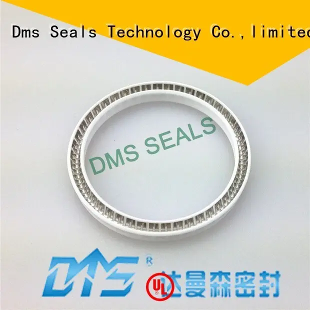 spring energized seals seal spring energized seals DMS Seal Manufacturer Brand 1