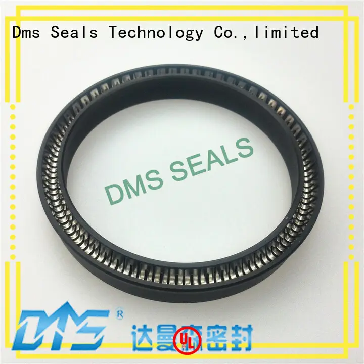 seal ptfe spring energized seals spring DMS Seal Manufacturer Brand 1