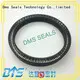 seal ptfe spring energized seals spring DMS Seal Manufacturer Brand 1